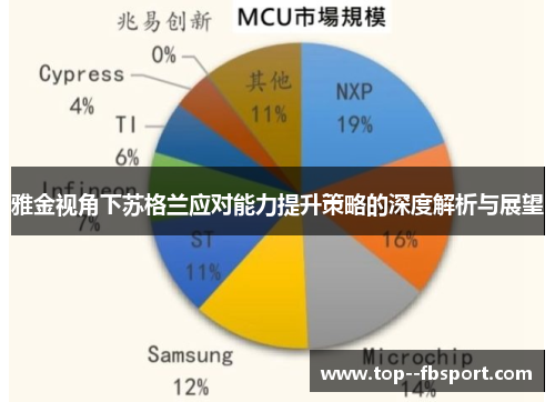 雅金视角下苏格兰应对能力提升策略的深度解析与展望 雅金视角下苏格兰应对能力提升策略的深度解析与展望
