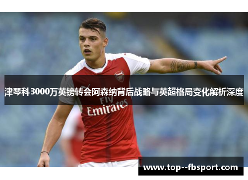 津琴科3000万英镑转会阿森纳背后战略与英超格局变化解析深度 津琴科3000万英镑转会阿森纳背后战略与英超格局变化解析深度